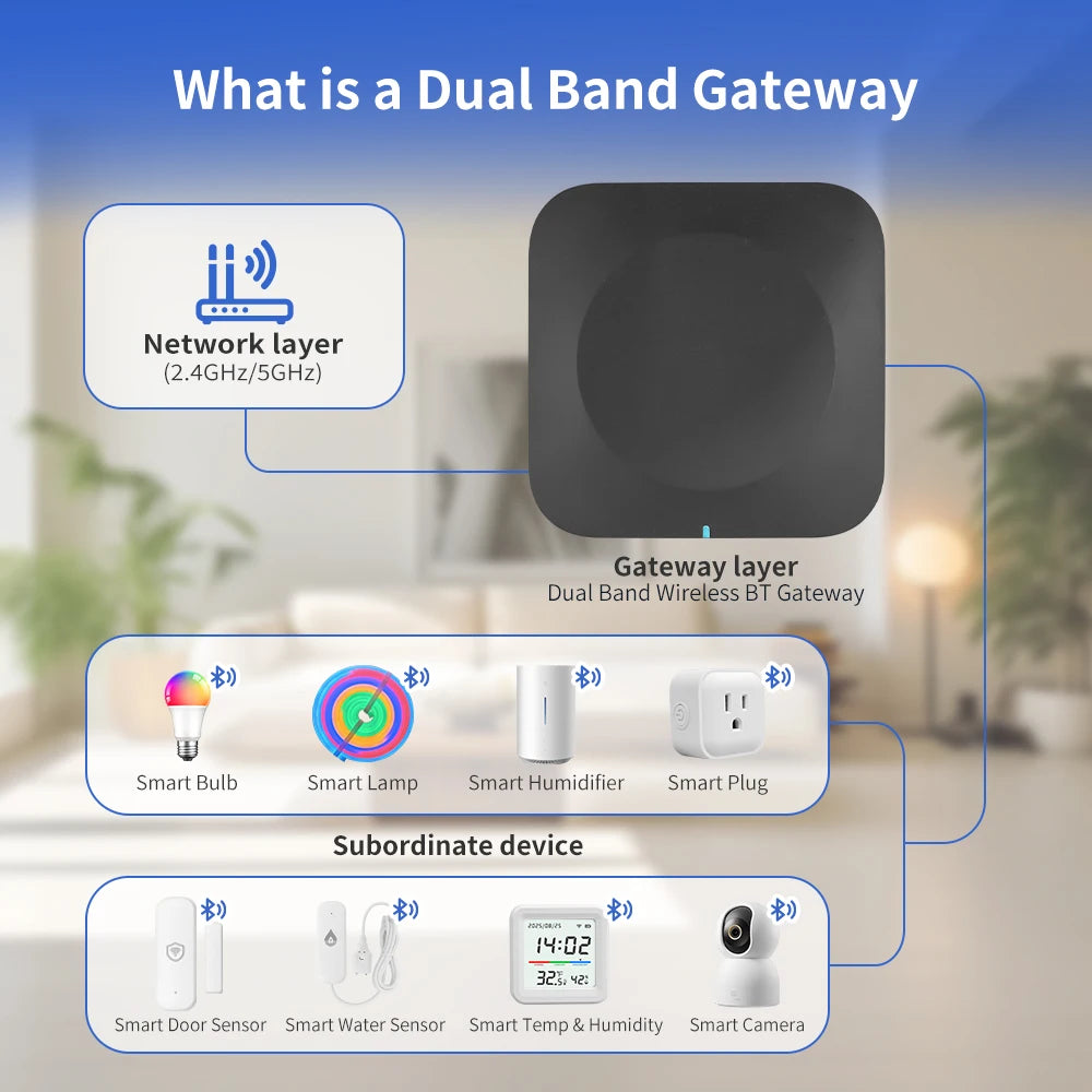 Satilla Mesh-Link Dual-Band Gateway Hub
